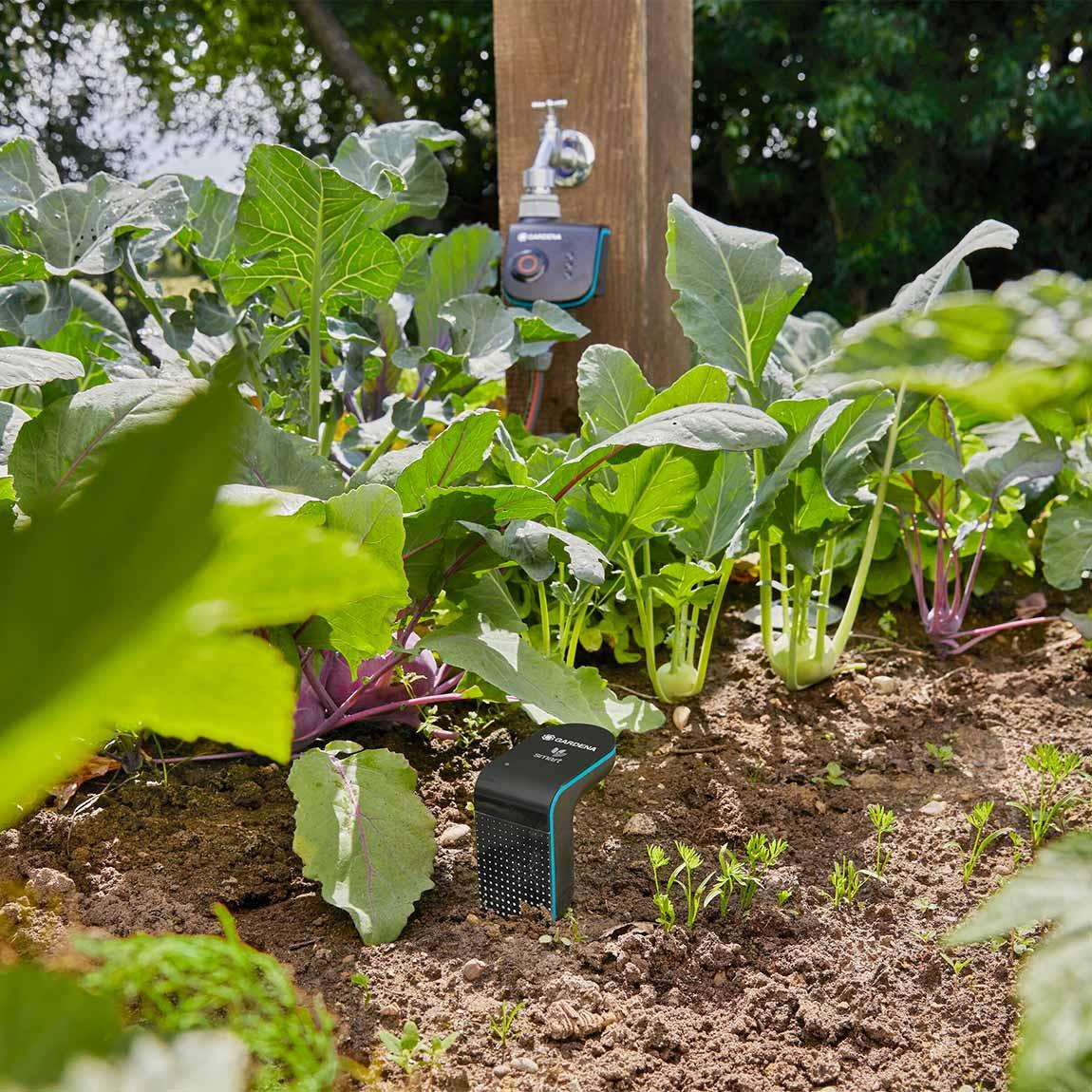 GARDENA Smart Sensor Control Set Sensor und Water Control im Gemüsebeet