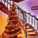 Twinkly Strings - Smarte Lichterkette mit 250 LEDs - Lifestyle - Weihnachtsbaum mit Treppe