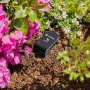 GARDENA smart Sensor im Blumenbeet