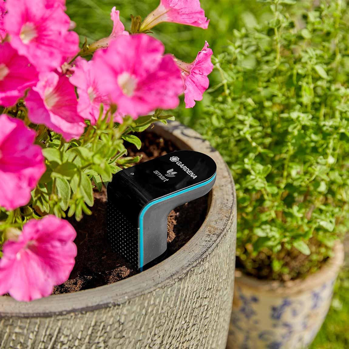 GARDENA smart Sensor im Blumentopf