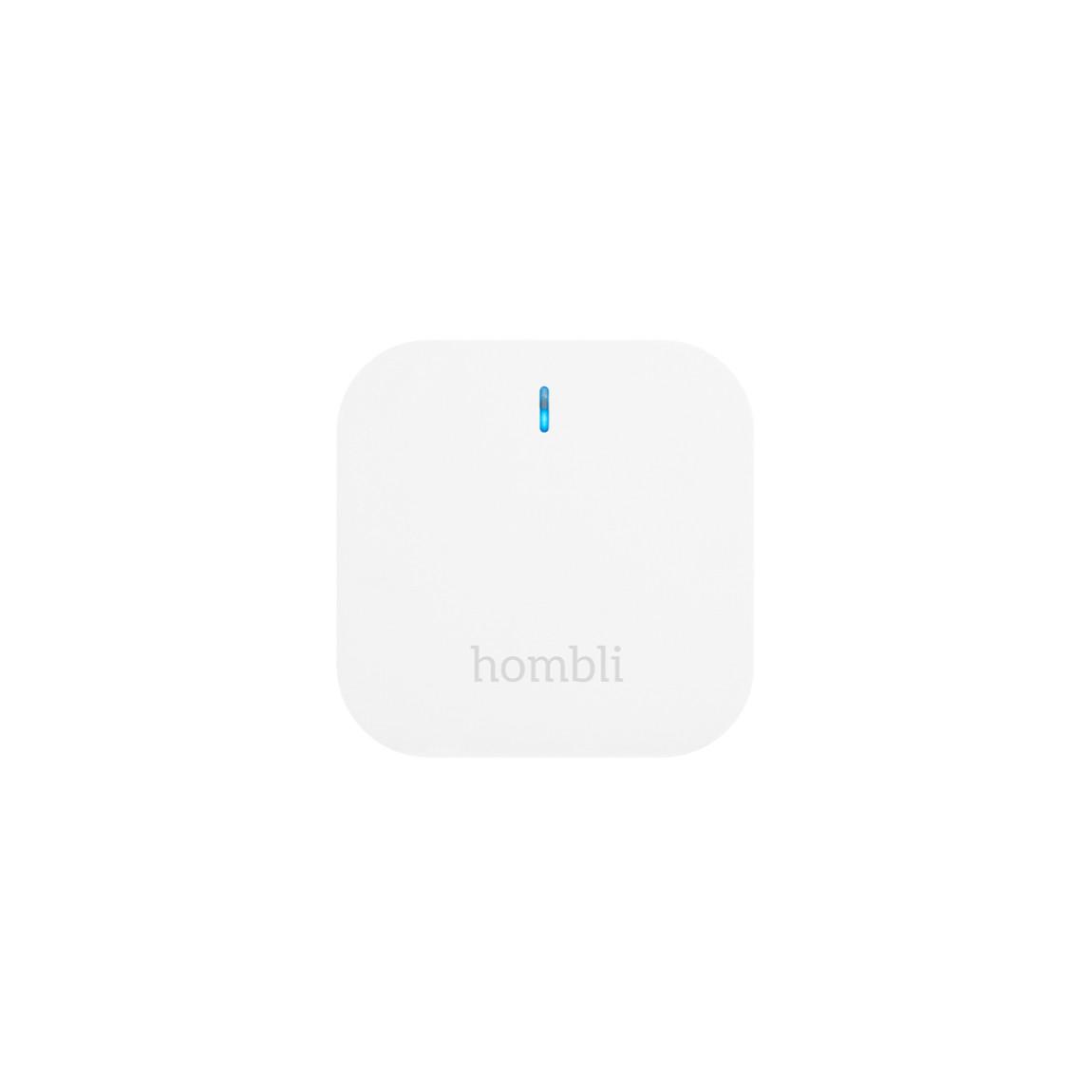 Hombli Bluetooth Bridge_frontal