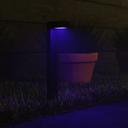 Hombli Smart Pathway Light Starter Kit - Smarter Wegeleuchten 3er-Pack_Lifestyle_blau beleuchteter Wegesrand