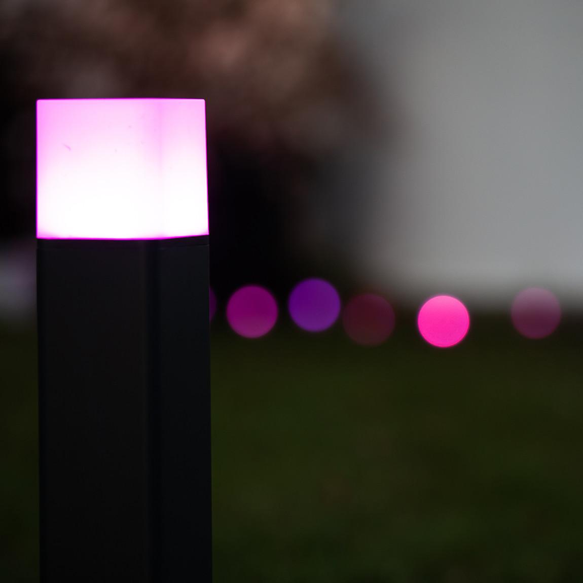 Ledvance SMART+ Cube Wegeleuchte 50 cm RGBW WiFi pink nah