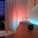 Philips Hue Gradient Ambiance Lightstrip 2m Basis 2er-Set_Lifestyle_Regal