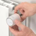 Netatmo Heizkörper-Thermostat Starter Set mit 6 Thermostaten_Lifestyle_Heizkörpermontage