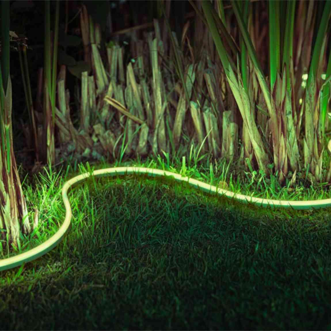 Philips Hue LED Outdoor Lightstrip 5m 2er-Set_Lifestyle_Beleuchteter Rasen