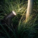 Philips Hue LED Spot Lily 1flg. 700lm Erweiterung - Schwarz, Spotlight bei Nacht