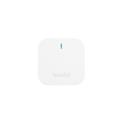 Hombli Bluetooth Bridge