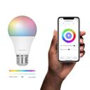 Google Nest Mini + Hombli Smart Bulb E27 Color 2er-Pack