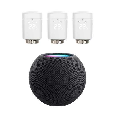 Apple HomePod mini + Eve Thermo 3-Pack