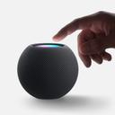 Apple HomePod mini - Smart Speaker - space grau mit Hand