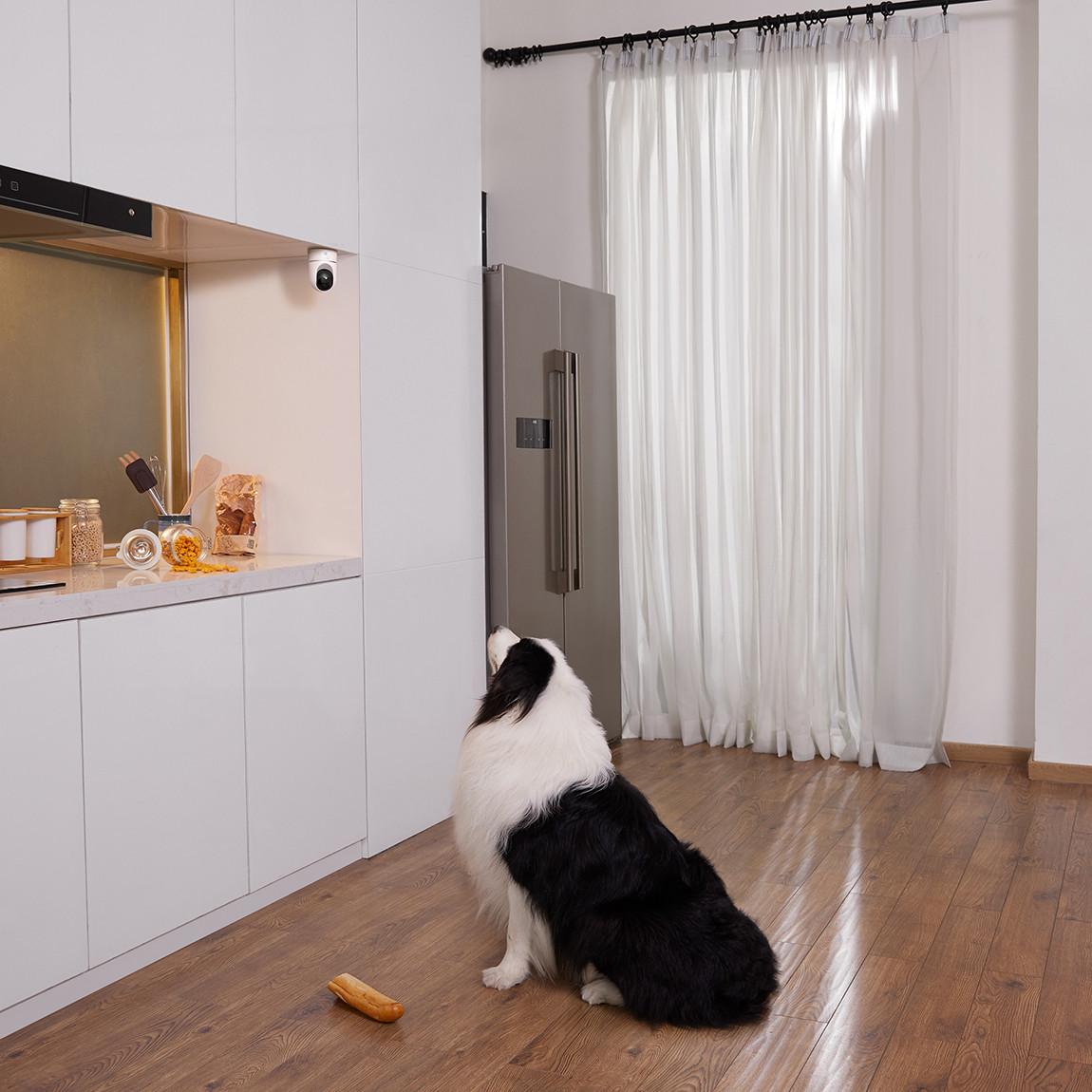 eufy Solo IndoorCam Pan & Tilt - 2K-Überwachungskamera mit Schwenk-Neige-Funktion in Küche mit Hund