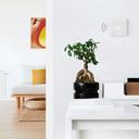 tado° Wireless Smart Thermostat an der Wand