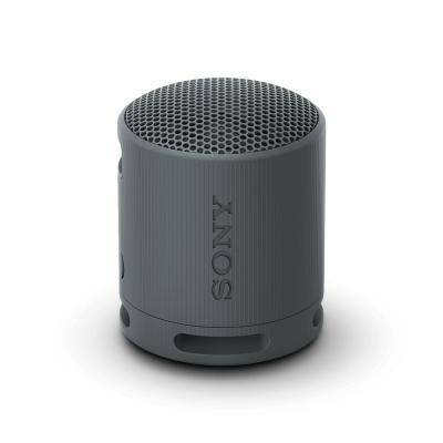 Sony SRS-XB100 - Tragbarer kabelloser Lautsprecher